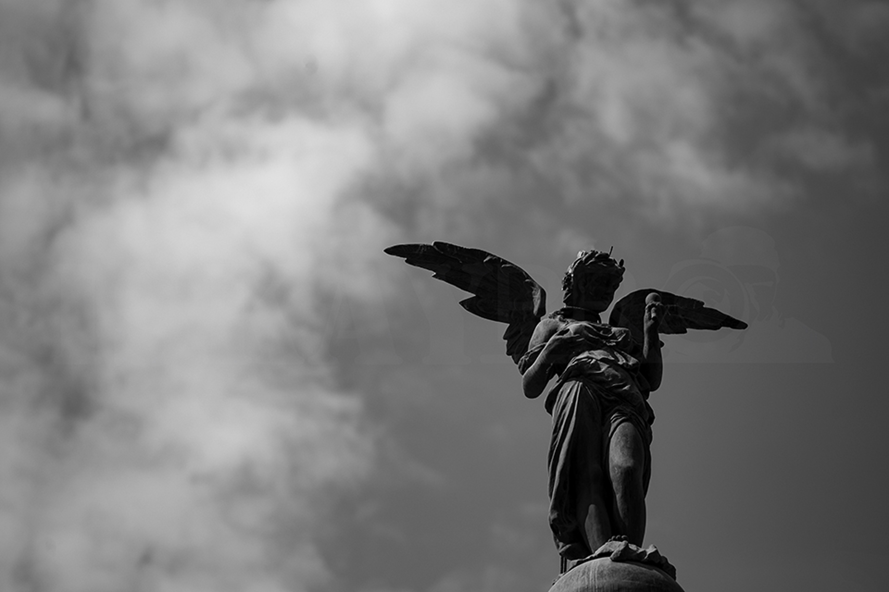 ANGEL FB ANGEL FB