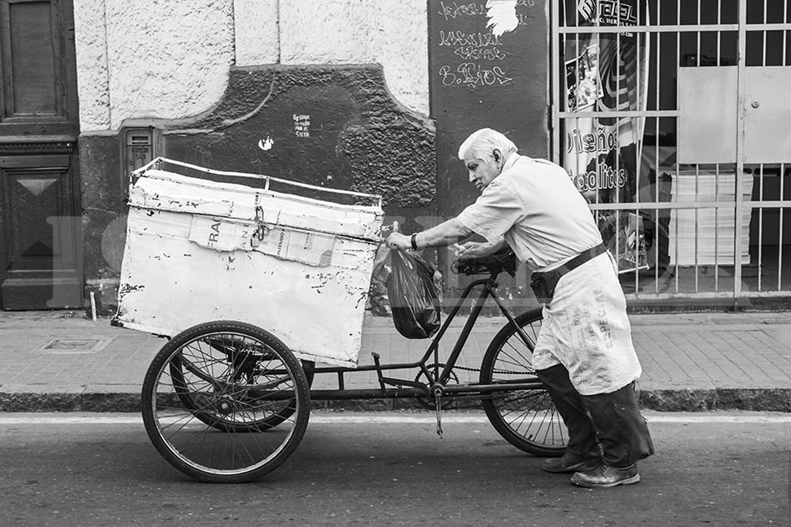 LA TERCERA EDAD 11