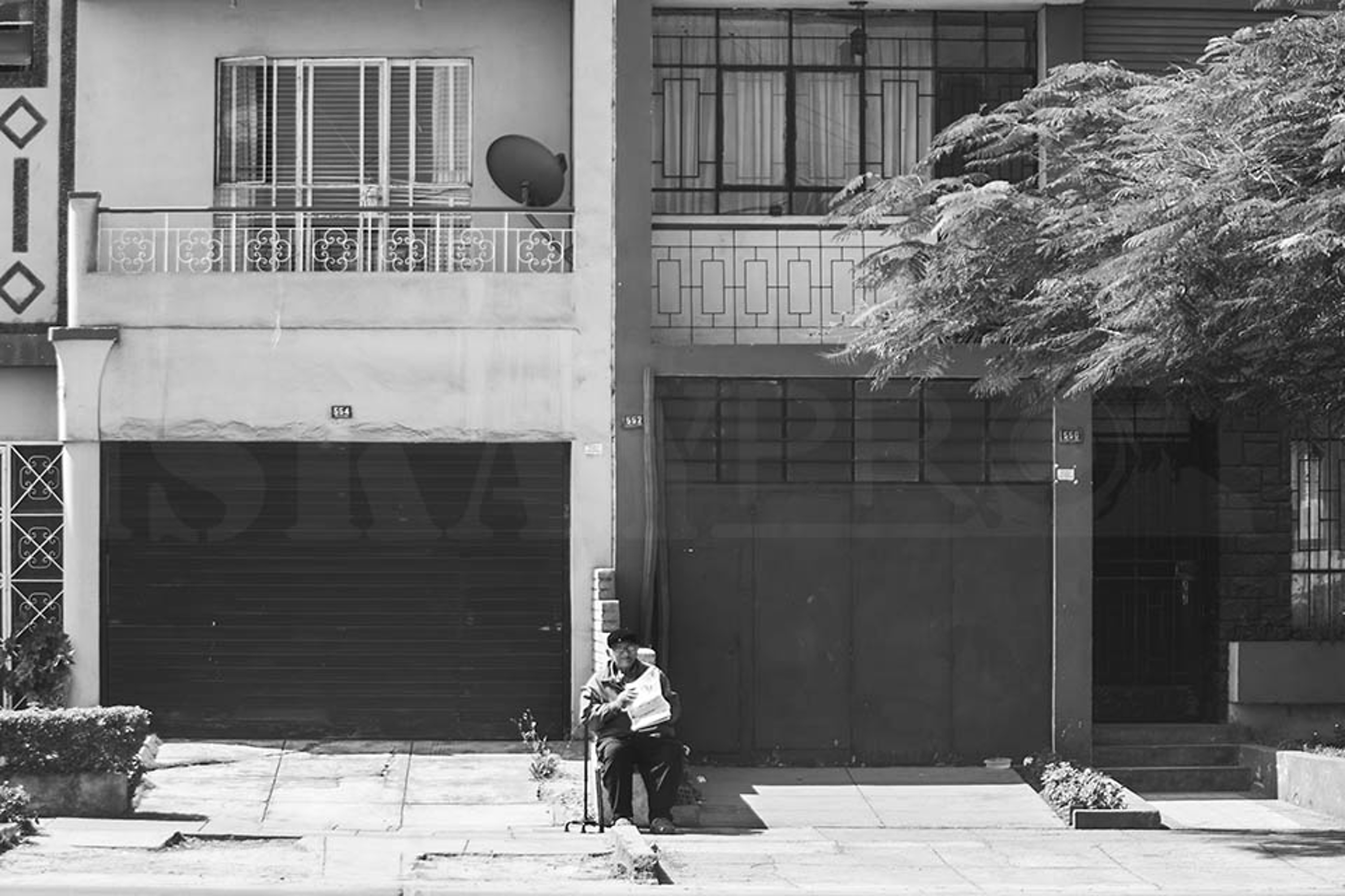 LA TERCERA EDAD 14